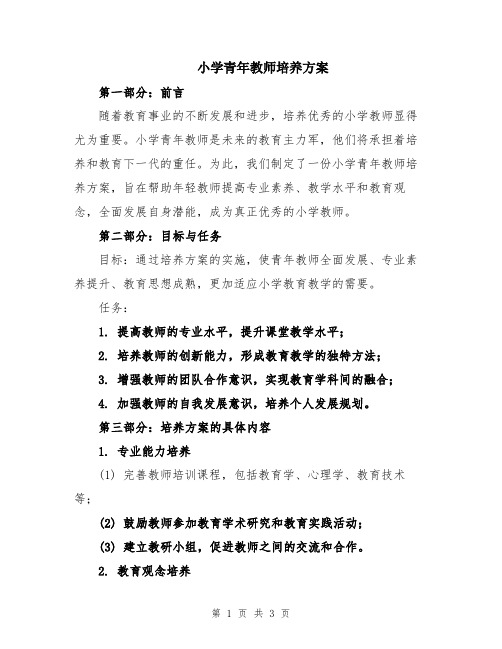 小学青年教师培养方案