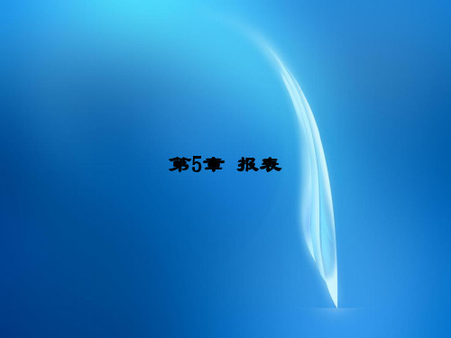 Access数据库程序设计(第二版) ch5-使用报表输出信息