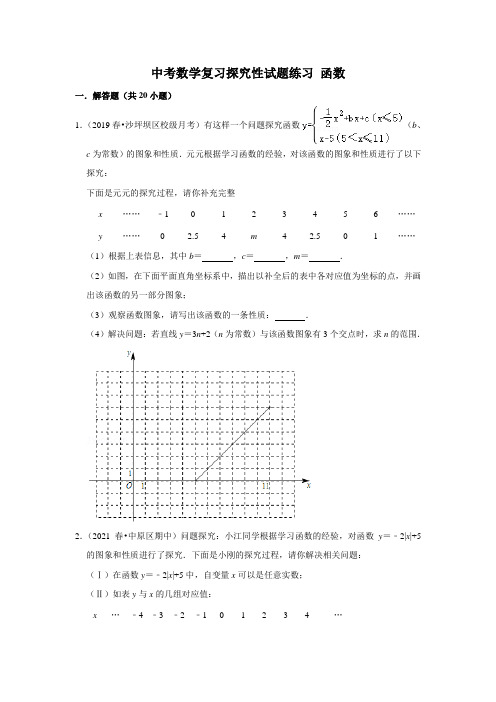 中考数学复习探究性试题练习20题：函数(学生版+解析版)