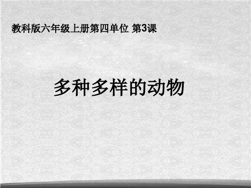 教科小学科学六上《4.3、多种多样的植物》课件(10)ppt