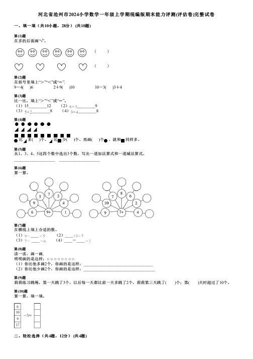 河北省沧州市2024小学数学一年级上学期统编版期末能力评测(评估卷)完整试卷