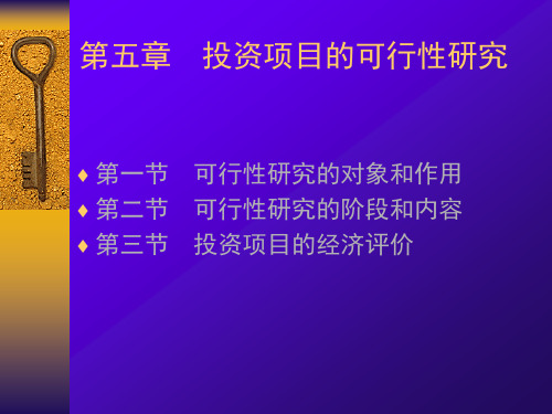 技术经济学投资项目财务分析