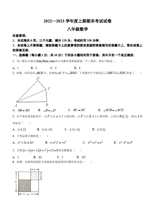 河南省周口市川汇区2022-2023学年八年级上学期期末数学试题(含答案)