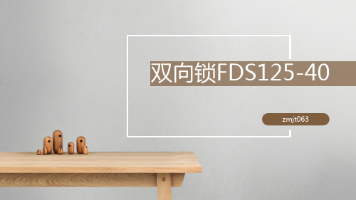 双向锁FDS125-40