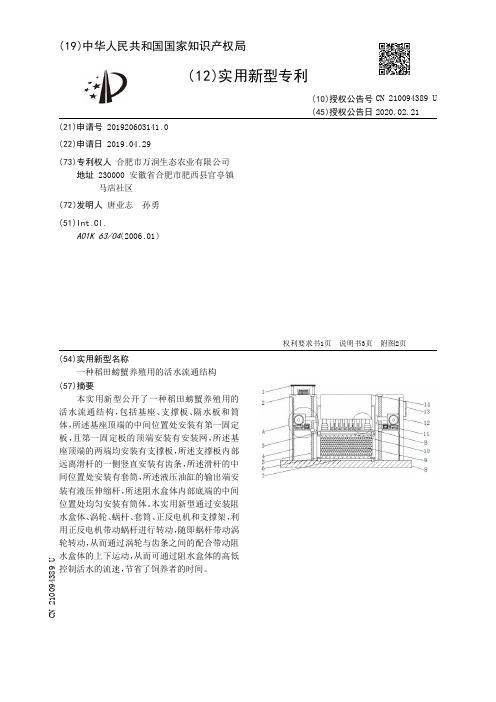 【CN210094389U】一种稻田螃蟹养殖用的活水流通结构【专利】