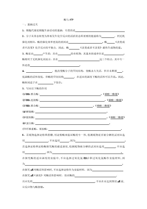 高中-酶与ATP-试题