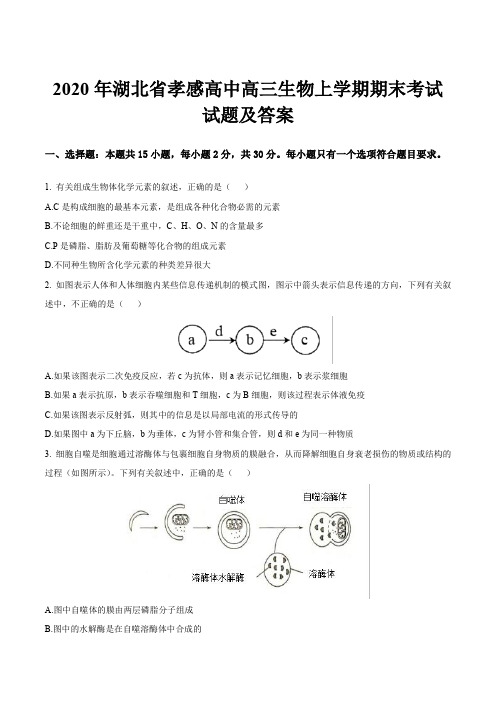 2020年湖北省孝感高中高三生物上学期期末考试试题及答案