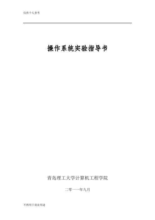 2009操作系统实验指导书