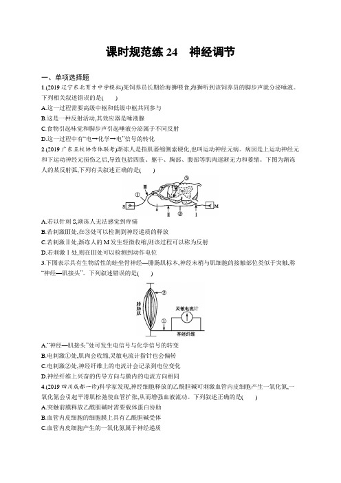 2021版山东新高考生物人教大一轮复习课时规范练24 神经调节(Word版含解析)