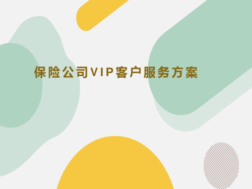 保险公司vip客户服务方案