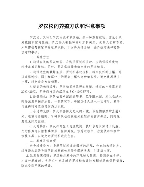 罗汉松的养殖方法和注意事项