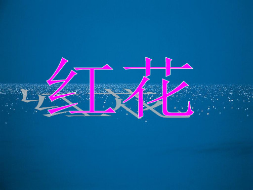 红花的介绍