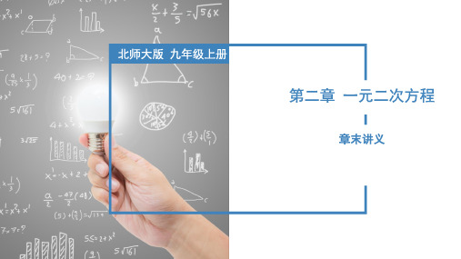 第二章 一元二次方程(章末复习)九年级数学上册(北师大版)