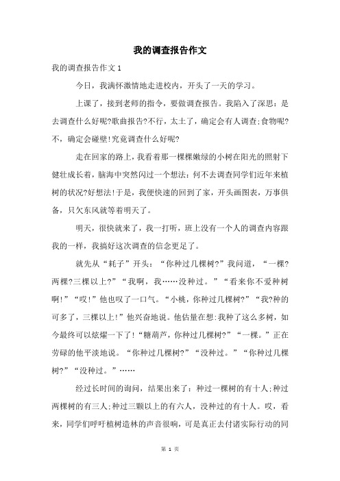 我的调查报告作文