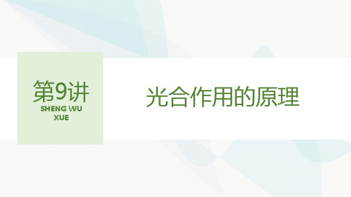 人教版2024届高考生物一轮复习光合作用的原理课件