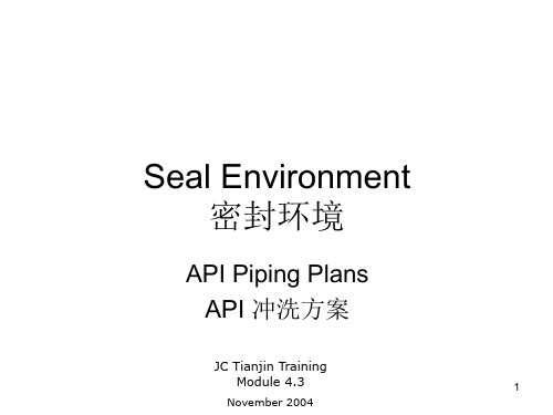 4.3 API Piping Plans中英对照