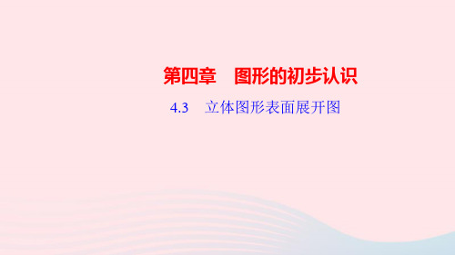 数学七年级上册第四章图形的初步认识4.3立体图形表面展开图作业课件 华东师大版