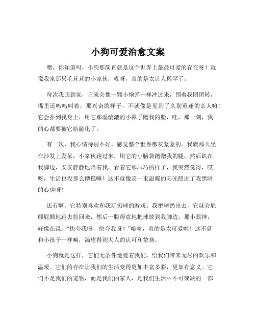 小狗可爱治愈文案