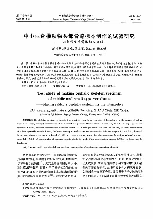 中小型脊椎动物头部骨骼标本制作的试验研究——以制作兔头骨骼标本为例