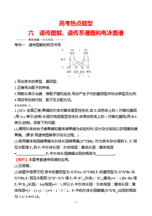 高考热点题型6 遗传图解、遗传系谱图和电泳图谱