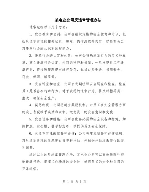 某电业公司反违章管理办法