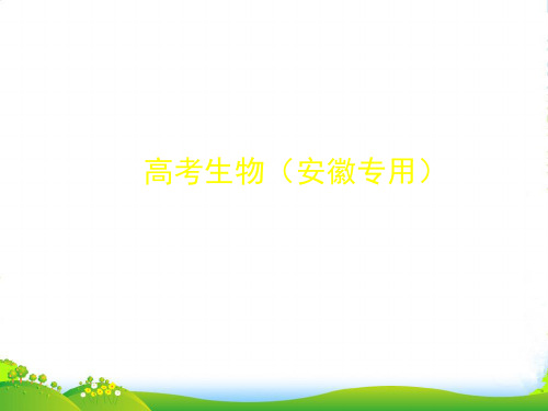 【5年高考3年模拟】(安徽专用)高考生物一轮复习 专题16 生物的进化配套课件(B)新人教