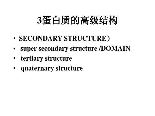 蛋白质的高级结构