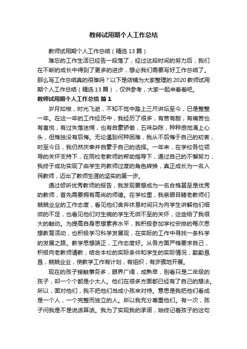 教师试用期个人工作总结