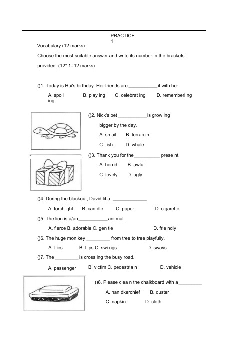 新加坡小学二年级英语试卷practice1(20201008210635)