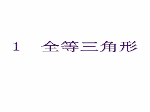 鲁教版七年级下册数学课件 全等三角形