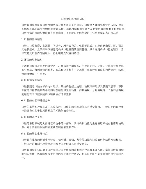 口腔解剖知识点总结