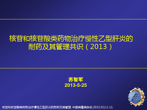 乙型肝炎病毒耐药及其管理专家意见解读(2013)(1)汇总.