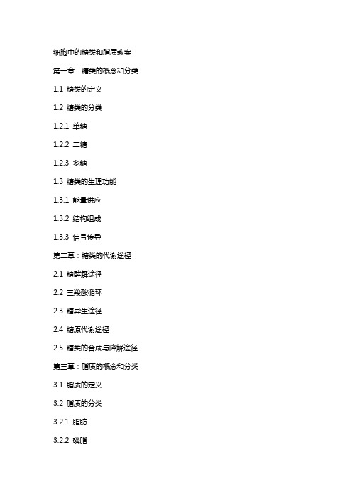 细胞中的糖类和脂质教案