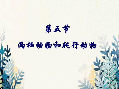 雁塔区六月上旬八年级生物上册 5.1.5《两栖动物和爬行动物》课件3 新版新人教版
