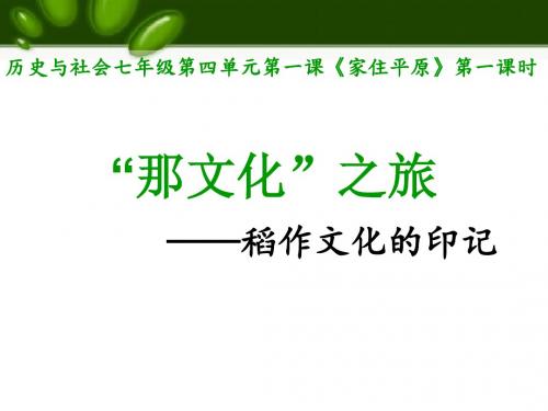 家住平原—《那文化之旅——稻作文化的印记》 课件