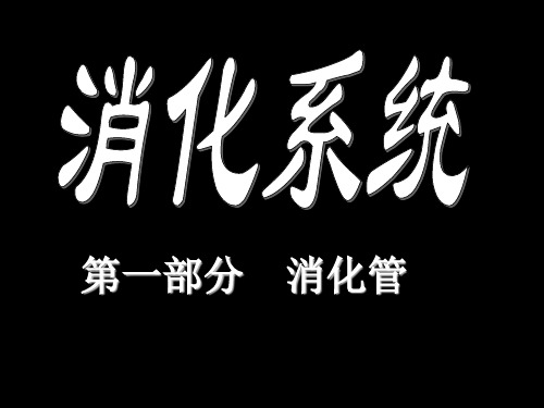 【医学PPT课件】消化系统组织学