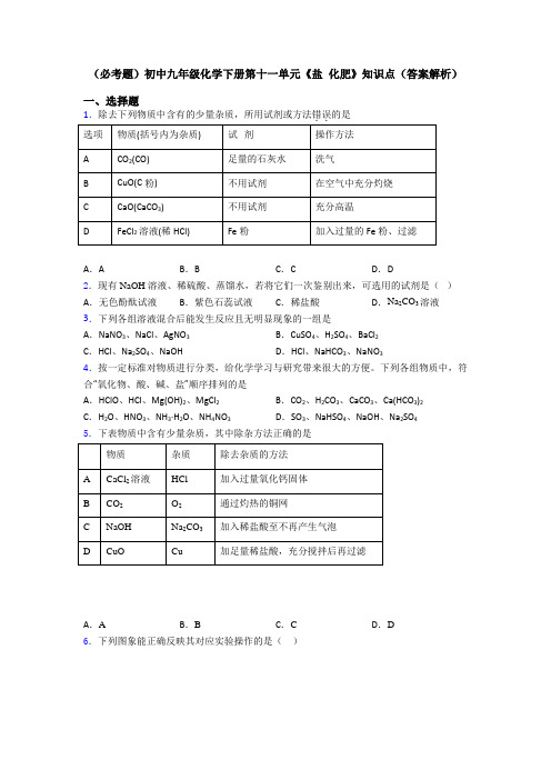 (必考题)初中九年级化学下册第十一单元《盐 化肥》知识点(答案解析)