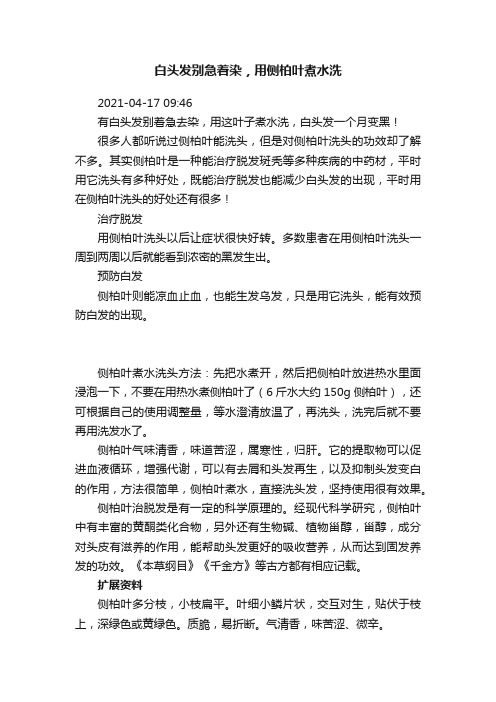 白头发别急着染，用侧柏叶煮水洗