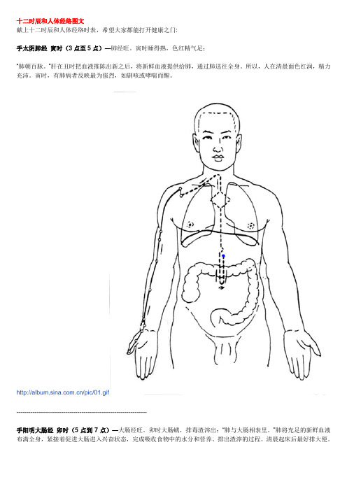 十二时辰和人体经络图文