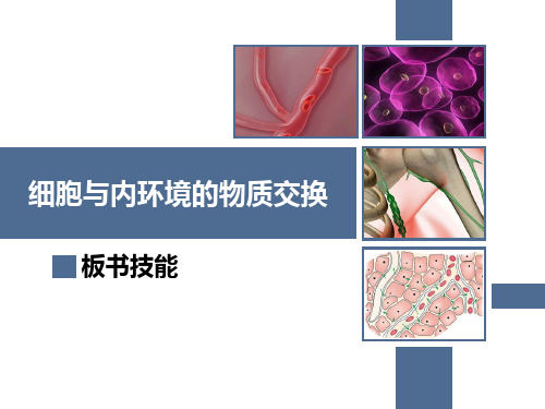 细胞与内环境的物质交换课件PPT