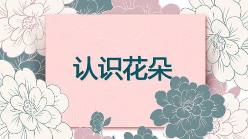 最新小清新风《认识花朵》PPT图文