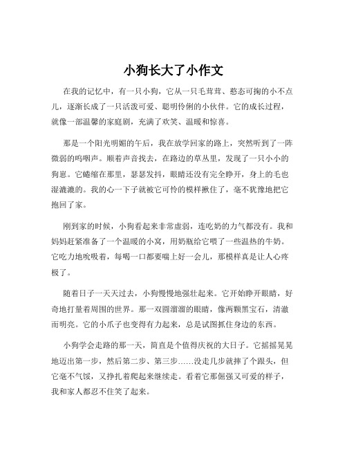 小狗长大了小作文