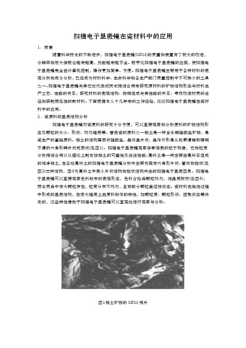 扫描电子显微镜在陶瓷材料中的应用