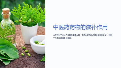 《中医药药物的滋补作用课件》