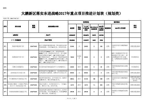 大鹏东进 计划答辩