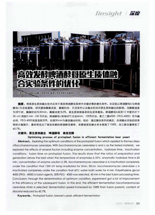 高效发酵啤酒酵母原生质体融合实验条件的优化