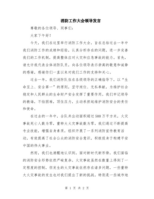 消防工作大会领导发言