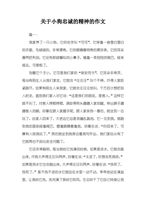 关于小狗忠诚的精神的作文