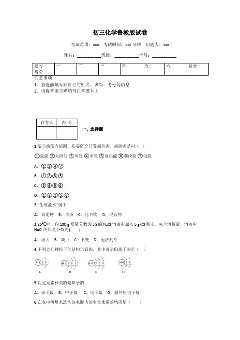 初三化学鲁教版试卷