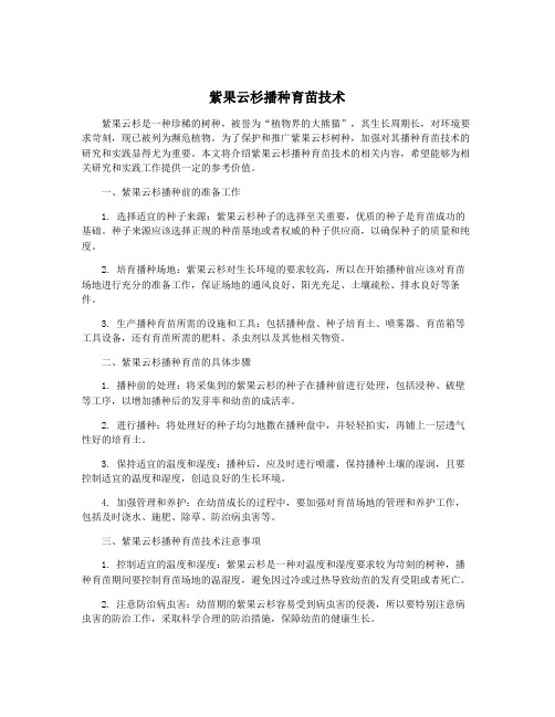 紫果云杉播种育苗技术